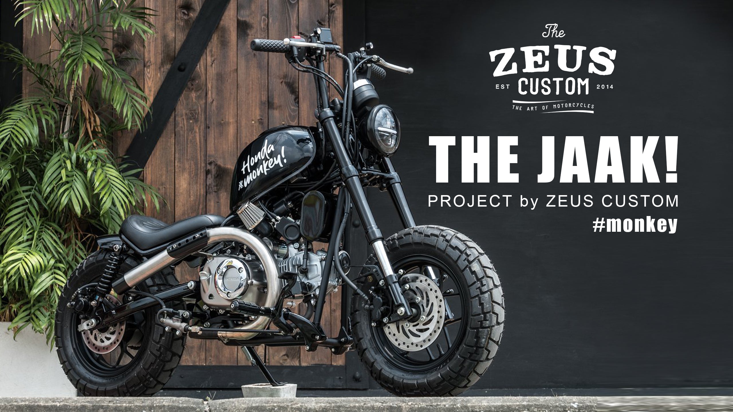 THE JAAK Zeus Custom Honda Monkey 125 – 8ft Weekend