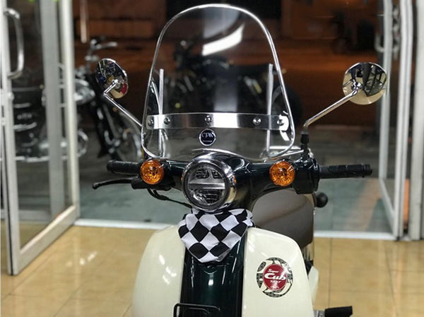 BR-c493 Windshield for C125