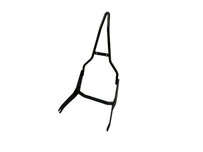 BR-c642 Sissy Bar for DAX125