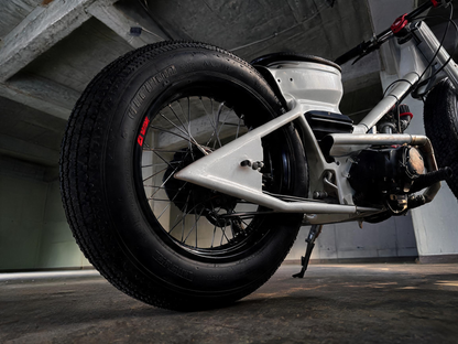 Kampanad Street cub