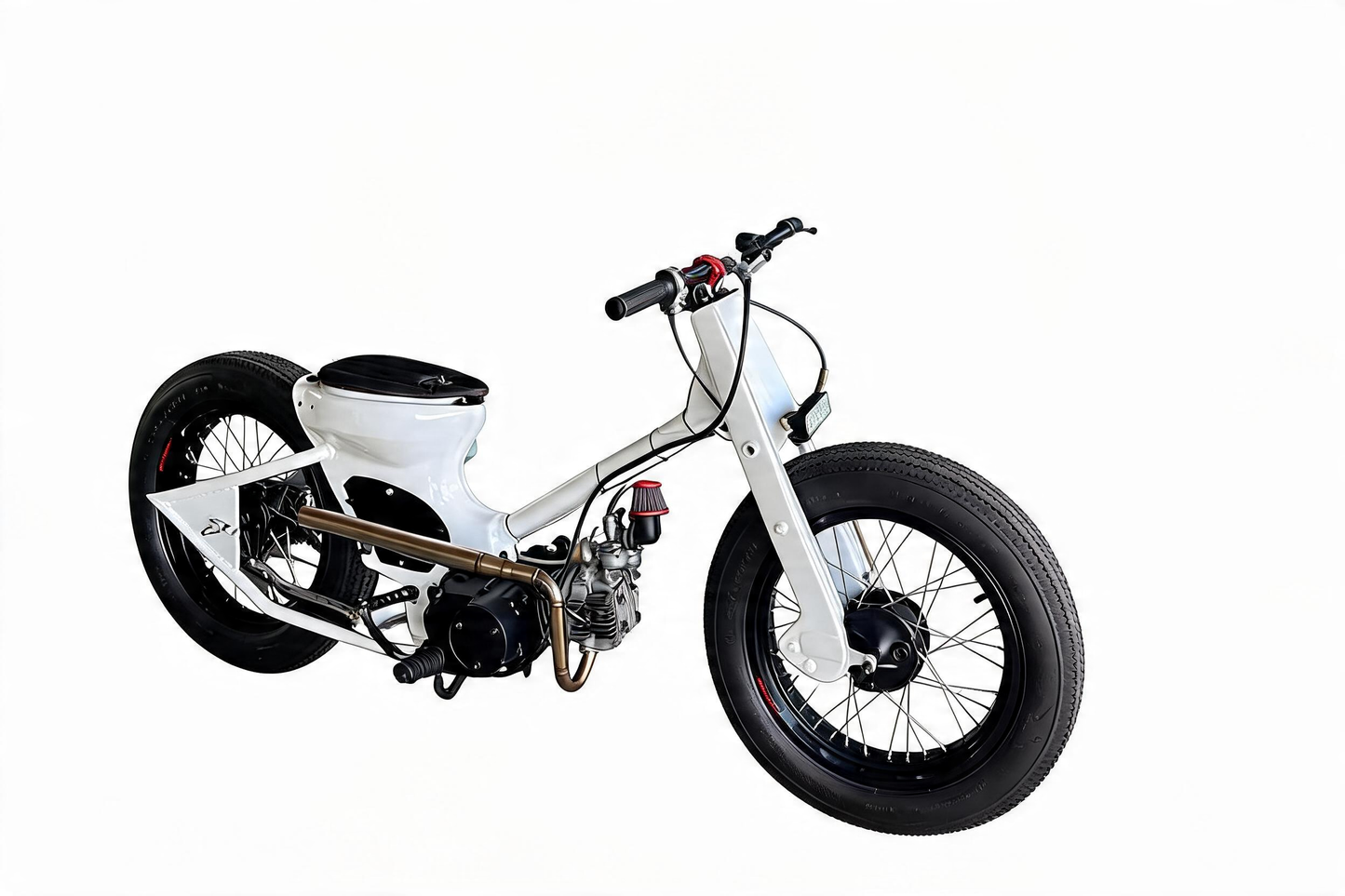 Kampanad Street cub