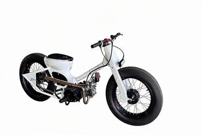 Kampanad Street cub