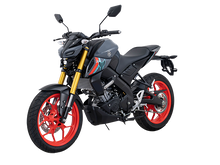 Load image into Gallery viewer, YAMAHA MT-15
